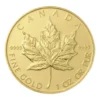 Canadian Maple Leaf Back