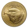 American Eagle Type 2 Gold Coin Back